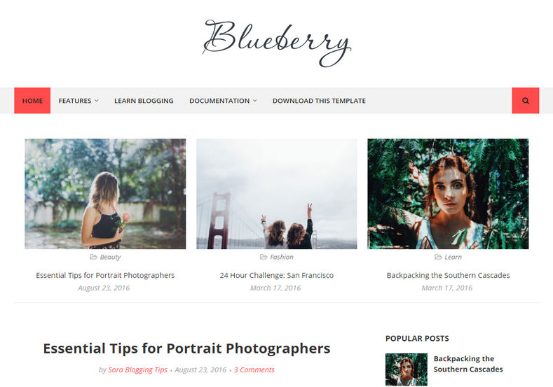 blueberry blogger template
